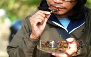 Berikut Ini? Beberapa Makanan Ekstrem di Indonesia