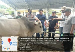 Sat Reskrim Polres Tapsel Cek Pasar Hewan di Paluta