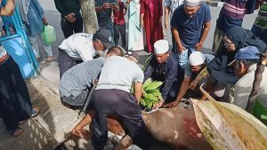 Merdu, H. Albiner Sitompul Kumandangkan Takbiran Idul Adha Saat Menyembelih Hewan Qurban Di Kantor Yayasan