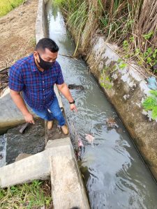 Warga Pudun Julu Padang Sidempuan Batunadua Temukan Orok Bayi Di Parit Sawah