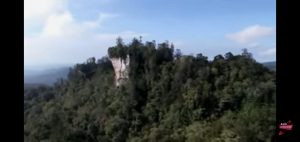 Wabup Tapsel : Perlu Upaya Konservasi Orangutan Kolaboratif di Bumi Tapanuli Secara Berkelanjutan