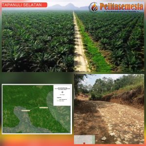 Dugaan Memfasilitasi Pengerusakan Hutan Lindung Tapanuli Selatan, Kadis Pertanian Dilaporkan Ke APH