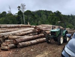 Dugaan  Bantuan Mencuat Setelah Beredar Unggahan Di Media Sosial 