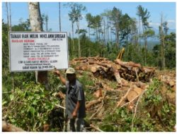 PT. Toba Pulp Lestari Jarah Tanah Milik Rakyat di Angkola Timur