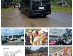 PPLHI Desak Penegakan Hukum Transparan Terkait Dugaan Masih Beroperasinya PT Agincourt Resources