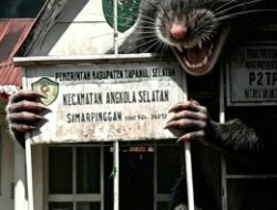 AWP2J TABAGSEL LAYANGKAN ULTIMATUM 7 HARI KEPADA CAMAT ANGKOLA SELATAN